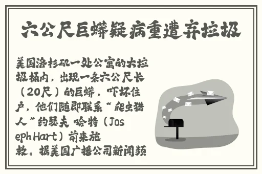鲁大师视频在线观